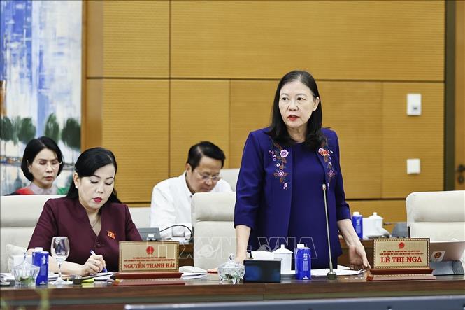 Chủ nhiệm Ủy ban Dân nguyện và Giám sát của Quốc hội Lê Thị Nga phát biểu. Ảnh: Doãn Tấn - TTXVN