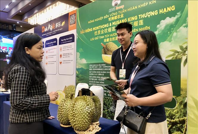 Doanh nghiệp kết nối giao thương tại sự kiện. Ảnh: Mỹ Phương – TTXVN