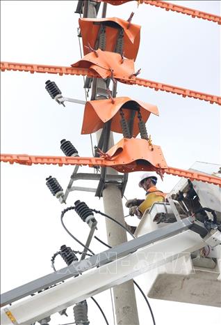 Sửa chữa điện ứng dụng công nghệ không cắt điện trên hệ thống (hotline), ở đường dây hạ thế phường Phố Hiến, tỉnh Hưng Yên. Ảnh: Vũ Sinh - TTXVN 