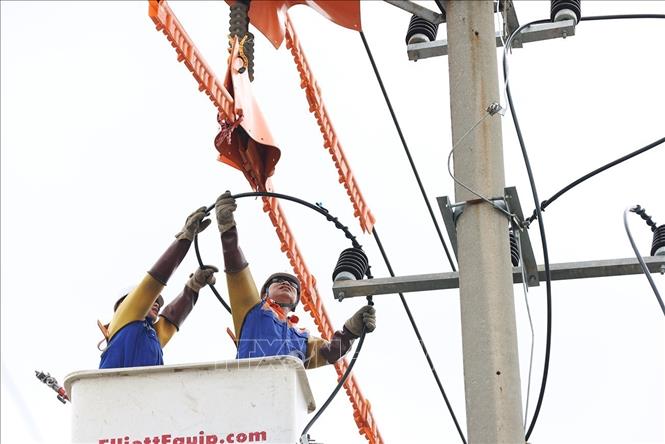Sửa chữa điện ứng dụng công nghệ không cắt điện trên hệ thống (hotline), ở đường dây hạ thế phường Phố Hiến, tỉnh Hưng Yên. Ảnh: Vũ Sinh - TTXVN 