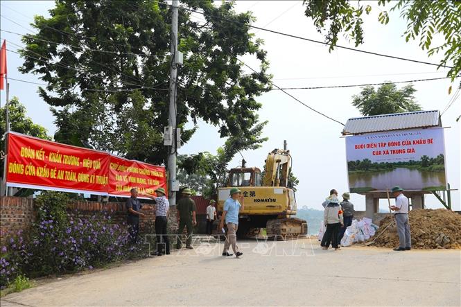 Ngày 15/7/2026, các lực lượng tập kết phương tiện, vật tư tại khu vực cửa khẩu đê Đô Tân, chuẩn bị thực hành xử lý tình huống nước lũ dâng cao. Ảnh: Trung Nguyên - TTXVN