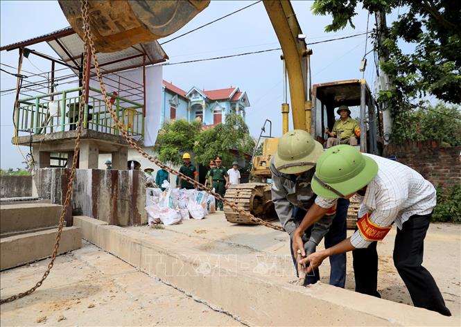 Ngày 15/7/2026, lực lượng xung kích kiểm tra móc xích của phương tiện cơ giới trước khi nâng tấm phai tại cửa khẩu đê Đô Tân. Ảnh: Trung Nguyên - TTXVN