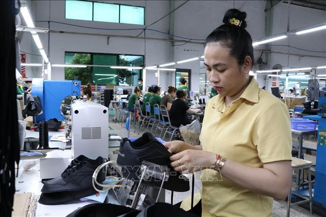 Công nhân làm việc tu tại Công ty Cổ phần Đầu tư và Sản xuất Công nghiệp Lefaso Trà Vinh (xã Trà Cú, tỉnh Vĩnh Long). Ảnh: Thanh Hòa - TTXVN
