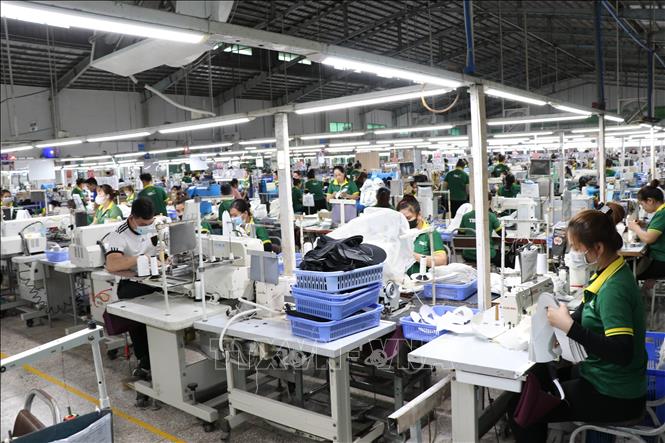 Công nhân làm việc trên dây chuyền sản xuất giày xuất khẩu tại Công ty Cổ phần Đầu tư và Sản xuất Công nghiệp Lefaso Trà Vinh (xã Trà Cú, tỉnh Vĩnh Long). Ảnh: Thanh Hòa - TTXVN