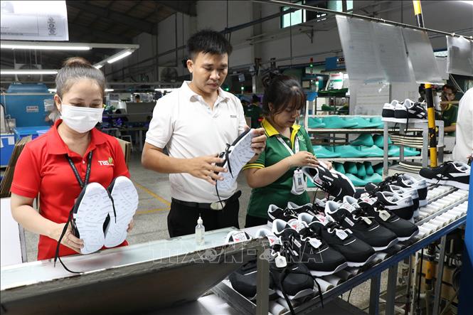 Công nhân kiểm tra sản phẩm trước khi đóng hộp tại Công ty Cổ phần Đầu tư và Sản xuất Công nghiệp Lefaso Trà Vinh (xã Trà Cú, tỉnh Vĩnh Long). Ảnh: Thanh Hòa - TTXVN