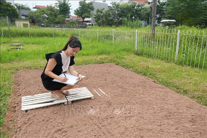 Cán bộ trạm ghi nhận thông số kỹ thuật tại trạm quan trắc. Ảnh: Tiến Vĩnh –TTXVN 