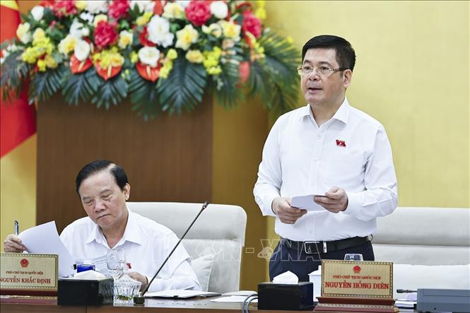 Phó Chủ tịch Quốc hội Nguyễn Hồng Diên phát biểu. Ảnh: Doãn Tấn - TTXVN