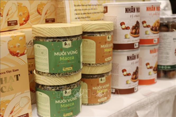 Các sản phẩm chế biến từ hạt mắc-ca của Hợp tác xã Kinh doanh, Thương mại, Dịch vụ chế biến nông sản DiLin (xã Hòa Bắc, Lâm Đồng). Ảnh: Nguyễn Huy Thành – TTXVN