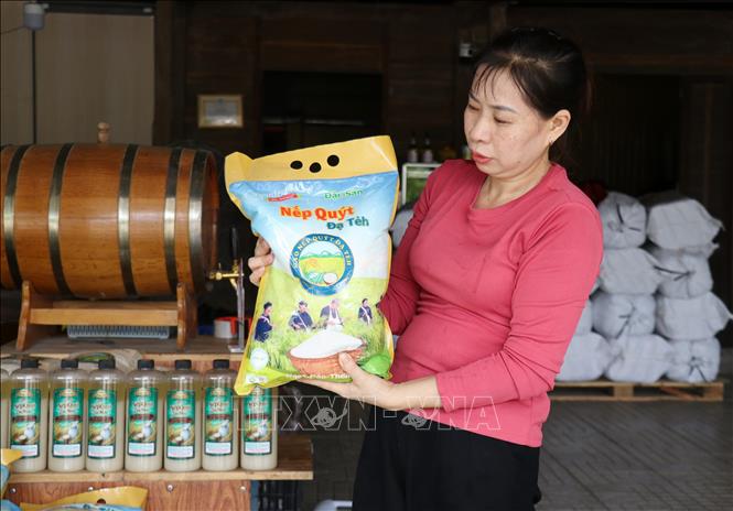 Sản phẩm gạo Nếp Quýt đặc sản của xã Đạ Tẻh (tỉnh Lâm Đồng) được cơ sở sản xuất đóng gói phục vụ thị trường. Ảnh: Nguyễn Huy Thành – TTXVN