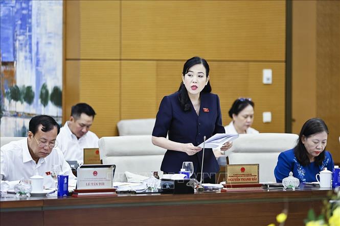 Chủ nhiệm Ủy ban Khoa học, Công nghệ và Môi trường của Quốc hội Nguyễn Thanh Hải phát biểu. Ảnh: Doãn Tấn - TTXVN