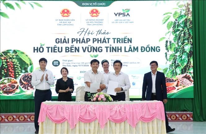 Đại diện các đơn vị, doanh nghiệp trên địa bàn tỉnh Lâm Đồng ký thỏa thuận hợp tác nhằm thúc đẩy phát triển chuỗi giá trị hồ tiêu bền vững. Ảnh: Nguyễn Huy Thành – TTXVN 