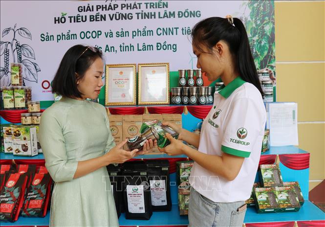 Đại biểu tham quan, tìm hiểu các sản phẩm hồ tiêu do hợp tác xã trên địa bàn tỉnh Lâm Đồng trưng bày, giới thiệu bên lề Hội thảo. Ảnh: Nguyễn Huy Thành – TTXVN