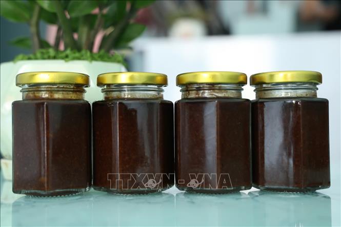 Sâm bố chính được nấu thành cao sâm để tạo tiện lợi cho người tiêu dùng. Ảnh: Đinh Hương - TTXVN