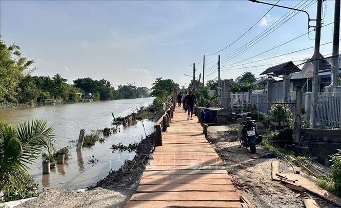 Cầu tạm dài gần 50 m được đưa vào sử dụng, khôi phục giao thông qua khu vực sạt lở bờ bắc kênh Đòn Dong, xã Phú Hòa (An Giang). Ảnh: Thanh Sang - TTXVN