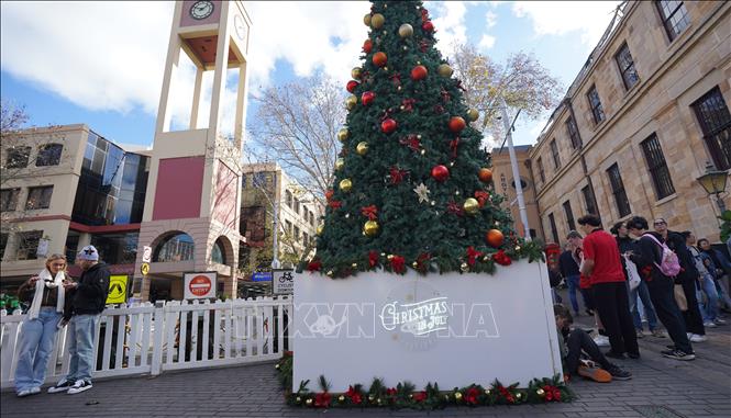 Cây thông Noel được đặt ngay tại nga ba khu chợ The Rocks, nơi khách tham quan tập trung đến chụp ảnh lưu lại không khí Giáng sinh mua Đông của Australia. Ảnh: Lê Đạt - PV TTXVN tại Australia
