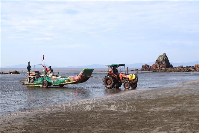 Ngư dân làng biển Hòn Câu (xã Hải Châu, Nghệ An) dùng máy kéo đưa bè mảng lên bờ. Ảnh: Xuân Tiến - TTXVN 
