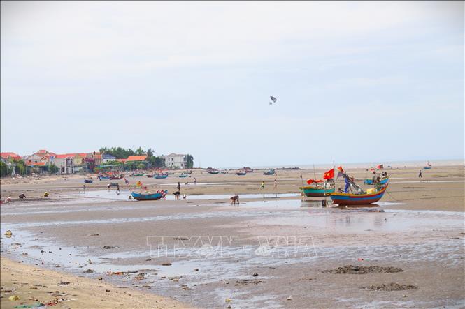 Thủy triều xuống thấp, nước biển rút xa cách bờ hàng trăm mét lộ ra những bãi triều rộng lớn tạo môi trường lý tưởng cho cư dân làng biển khai thác ốc, ngao biển. Ảnh: Xuân Tiến - TTXVN 