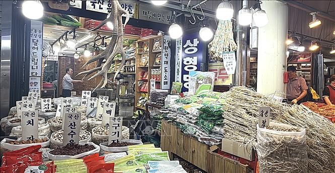 Quầy hàng kinh doanh dược liệu và nông sản khô tại khu chợ Cheongnyangni. Đây là một trong những đầu mối phân phối dược liệu truyền thống lớn, phục vụ nhu cầu của người dân Thủ đô Seoul, Hàn Quốc. Ảnh: Nhật Hưng (PV TTXVN tại Hàn Quốc)