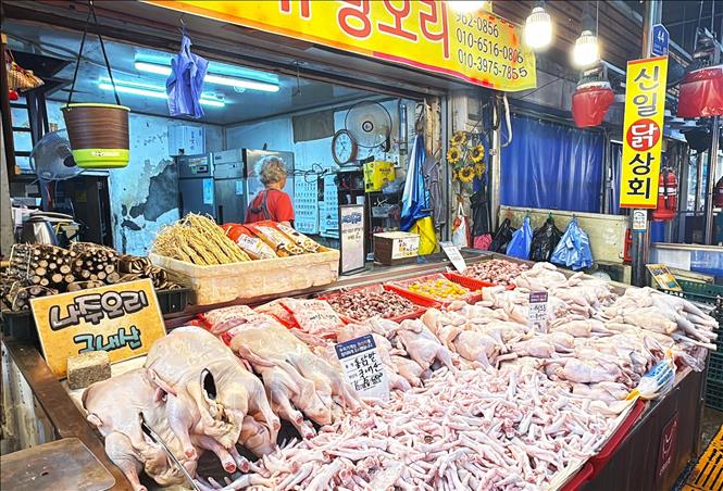 Quầy hàng gia súc giết mổ tại khu chợ Cheongnyangni, quận Dongdaemun, Seoul. Đây là một trong những đầu mối cung ứng nông sản và thực phẩm lớn, phục vụ nhu cầu tiêu dùng hằng ngày của người dân thủ đô Hàn Quốc. Ảnh: Nhật Hưng (PV TTXVN tại Hàn Quốc)