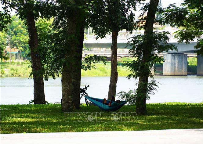 Người dân mắc võng ở công viên bờ Bắc sông Hương, thành phố Huế để nằm hóng mát, tránh nắng nóng gay gắt. Ảnh: Nguyên Lý - TTXVN