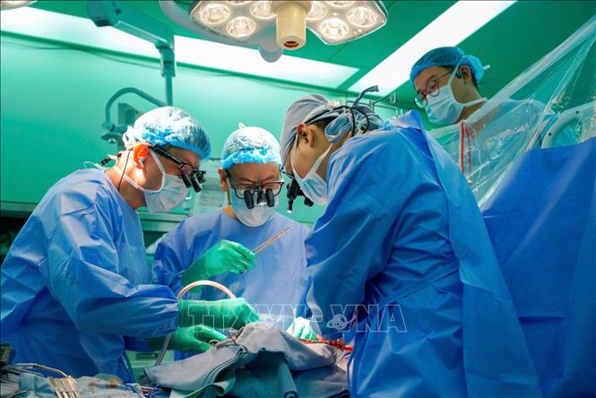 Các bác sĩ Bệnh viện Đại học Y dược Thành phố Hồ Chí Minh tiến hành ghép tim do nữ sinh viên 22 tuổi hiến tặng. Ảnh: TTXVN phát