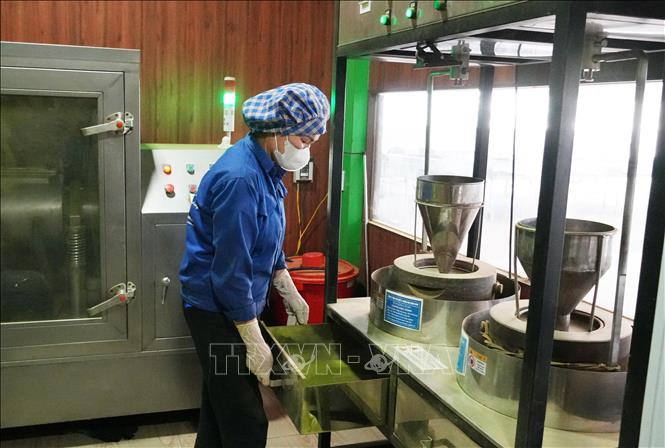 Chế biến bột Matcha từ nguyên liệu chè đặc sản địa phương tại HTX chè La Bằng, xã La Bằng, tỉnh Thái Nguyên. Ảnh: Hoàng Nguyên - TTXVN
