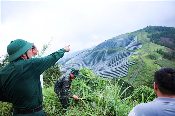 Nhiều vị trí do cựu chiến binh cung cấp, nơi các liệt sĩ đã anh dũng hy sinh, hiện nằm sát hoặc trong khu vực tuyến biên giới, khiến công tác tìm kiếm, quy tập hài cốt liệt sĩ gặp không ít khó khăn. Ảnh: Hoàng Hiếu - TTXVN