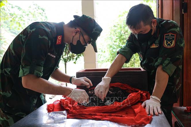A member of the sampling team examines the condition of a DNA testing sample. VNA Photo: Hoàng Hiếu