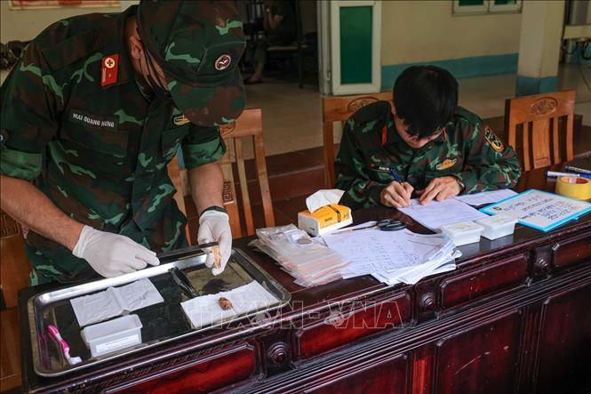 The samples' characteristics, including their length, dimensions, and physical condition, are measured and documented. VNA Photo: Hoàng Hiếu