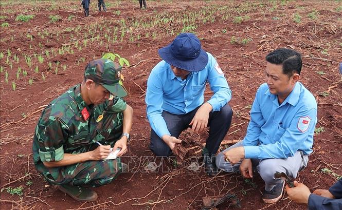 Cán bộ, chiến sĩ Đội K72 ghi chép tỉ mỉ từng vị trí, di vật trong quá trình tìm kiếm, quy tập hài cốt liệt sĩ tại xã Minh Đức. Ảnh: Đậu Tất Thành - TTXVN