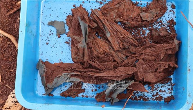 Di vật được phát hiện tại khu vực tìm kiếm, quy tập hài cốt liệt sĩ ở xã Minh Đức. Ảnh: Đậu Tất Thành - TTXVN.