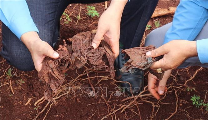 Những dấu vết được tìm thấy trong quá trình tìm kiếm hài cốt liệt sỹ tại xã Minh Đức. Ảnh: Đậu Tất Thành - TTXVN