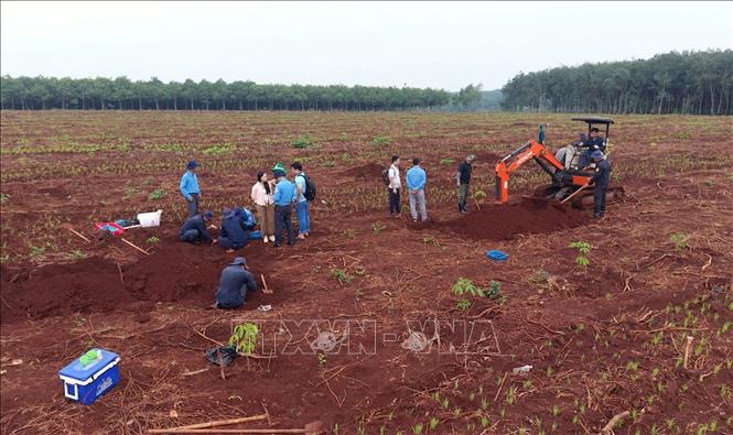 Công tác tìm kiếm, quy tập hài cốt liệt sỹ đang được Đội K72 tiến hành khẩn trương tại xã Minh Đức.  Ảnh: Đậu Tất Thành - TTXVN
