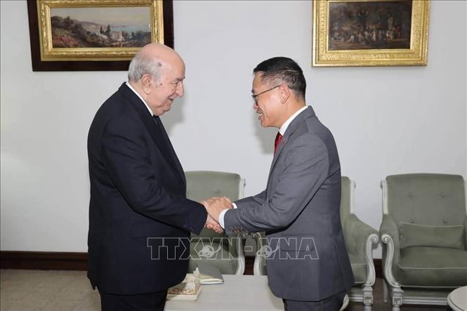 Đại sứ Việt Nam tại Algeria Trần Quốc Khánh chào từ biệt Tổng thống Algeria Abdelmadjid Tebboune. Ảnh: TTXVN phát
