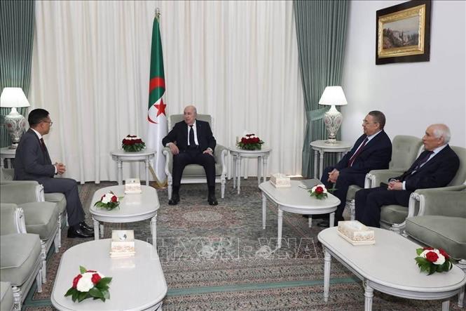 Tổng thống Algeria Abdelmadjid Tebboune tiếp Đại sứ Việt Nam tại Algeria Trần Quốc Khánh đến chào từ biệt nhân kết thúc nhiệm kỳ công tác. Ảnh: TTXVN phát