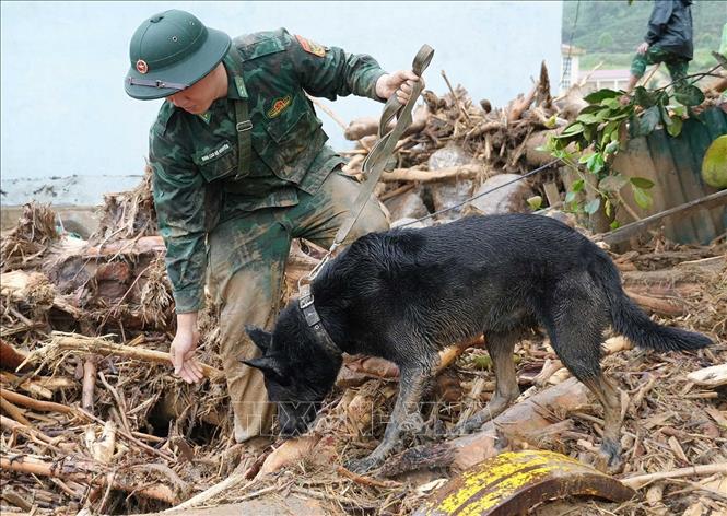 Bộ Chỉ huy quân sự tỉnh Lai Châu huy động chó nghiệp vụ đến hiện trường tìm kiếm nạn nhân bị mất tích. Ảnh: Nguyễn Oanh-TTXVN.