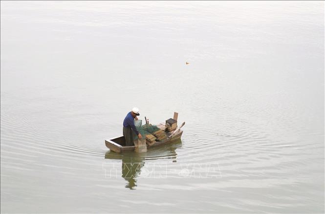 Người dân thả lưới lồng bát quái xuống sông Lạch Vạn (đoạn chảy qua xã Diễn Châu, tỉnh Nghệ An). Ảnh: Xuân Tiến - TTXVN 