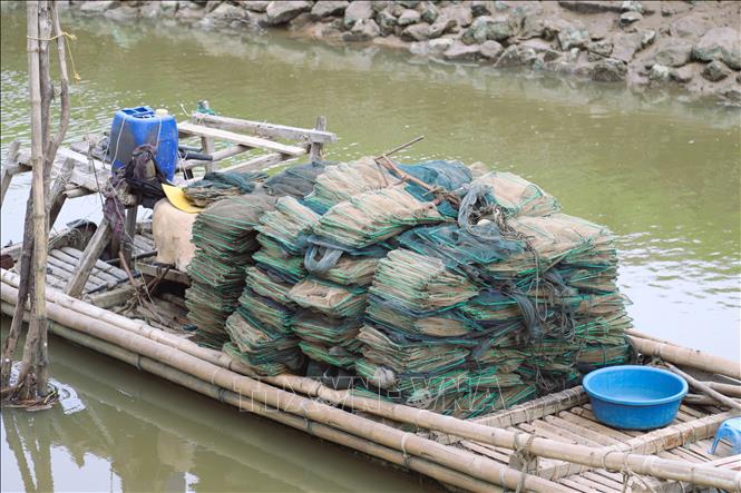 Cận cảnh những chồng lưới lồng bát quái xếp đầy trên bè mảng. Ảnh: Xuân Tiến - TTXVN 