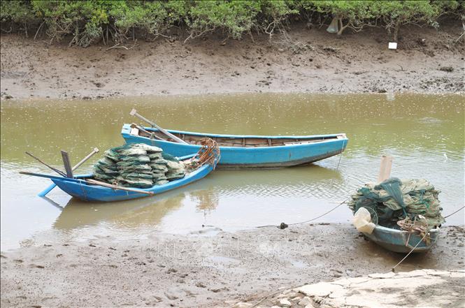 Những chiếc thuyền nhỏ chở đầy ắp chồng dây lưới lồng bát quái neo đậu trên sông Mơ (phường Tân Mai, Nghệ An). Ảnh: Xuân Tiến - TTXVN 