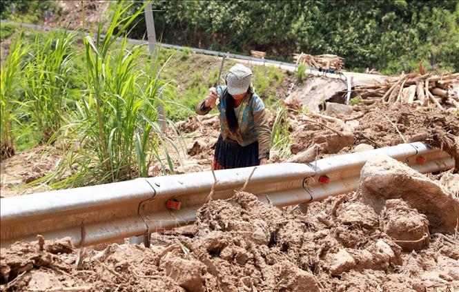 Các cơ quan cần khuyến cáo người dân không đi lấy củi tại những nơi có nguy cơ sạt lở trên Quốc lộ 279. Ảnh: Quý Trung - TTXVN