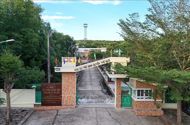 Ban Quản lý rừng phòng hộ, đặc dụng Thành phố Hồ Chí Minh triển khai các điều kiện để thực hiện Thông tư số 31/2026/TT-BNNMT về tín chỉ carbon rừng. Ảnh: Hồng Đạt - TTXVN