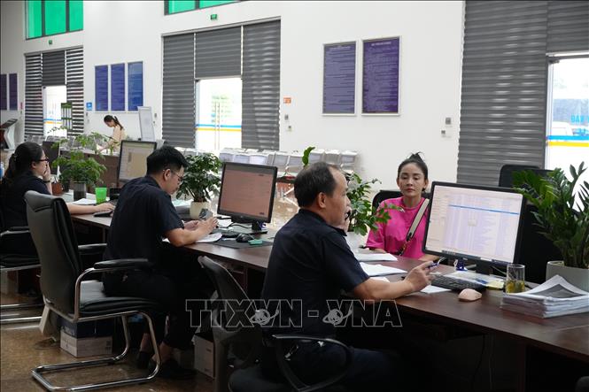 Cán bộ Hải quan kiểm tra các thông tin khai báo làm thủ tục của doanh nghiệp xuất nhập khẩu. Ảnh Hồng Ninh - TTXVN