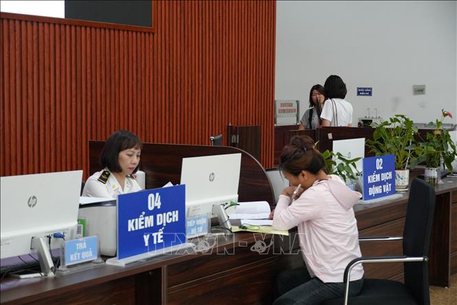 Đại diện doanh nghiệp làm thủ tục khai báo với cơ quan kiểm dịch y tế. Ảnh Hồng Ninh - TTXVN