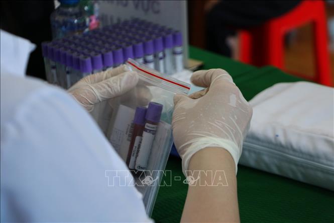 Những mẫu sinh phẩm mang theo niềm hy vọng của thân nhân trong việc xác định thông tin liệt sĩ. Ảnh: Hồng Thái - TTXVN