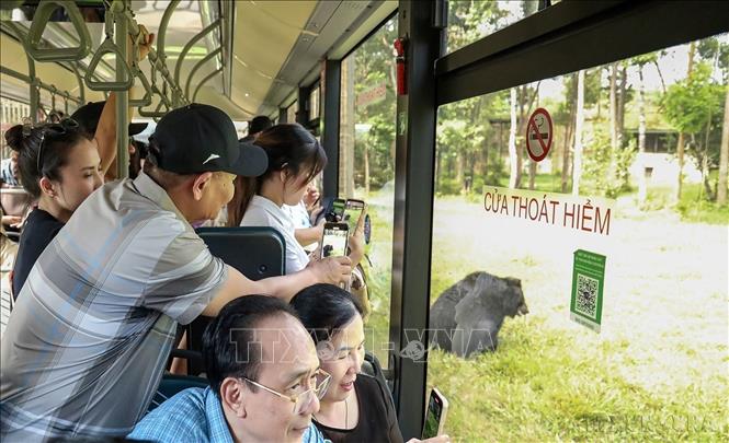 Khách du lịch tham quan, trải nghiệm khu bảo tồn động vật hoang dã Vinpearl Safari Phú Quốc, đặc khu Phú Quốc (An Giang). Ảnh: Lê Huy Hải - TTXVN