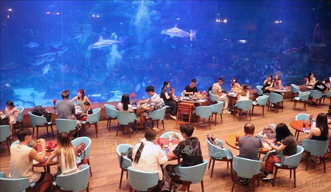 Khách du lịch trải nghiệm Cung điện Hải dương phía Bắc đảo Phú Quốc (An Giang). Ảnh: Lê Huy Hải - TTXVN