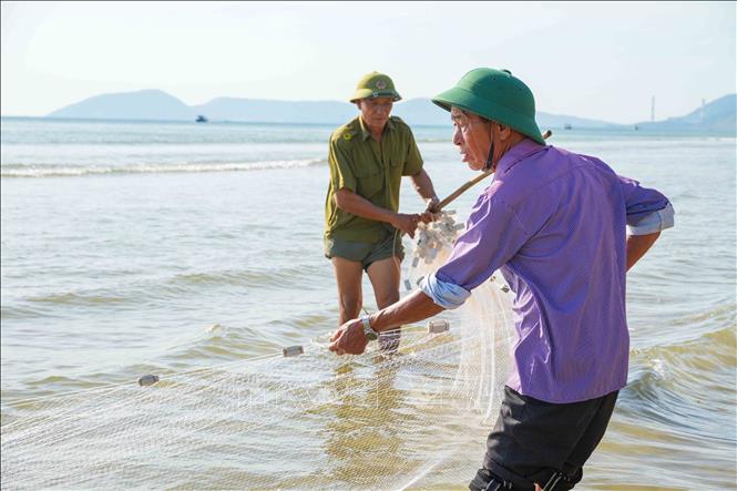 Hiện còn khoảng 25 hộ ở phường Hải Ninh duy trì nghề kéo lưới rùng truyền thống. Ảnh: Hữu Quyết – TTXVN 
