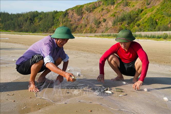 Mỗi mẻ lưới kéo lên mang theo tôm cá giúp ngư dân có thêm thu nhập. Ảnh: Hữu Quyết – TTXVN