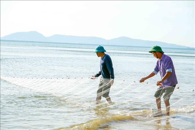 Không khí lao động sôi động trên bãi biển Hải Ninh mỗi buổi sáng sớm. Ảnh: Hữu Quyết – TTXVN