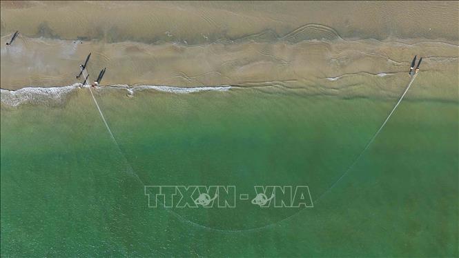 Những vàng lưới rùng được ngư dân thả theo con nước, tạo thành hình vòng cung trước khi kéo vào bờ. Ảnh: Hữu Quyết – TTXVN